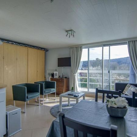 Studio Au Domaine Le Vieux Moulin Lägenhet Han-sur-Lesse Exteriör bild