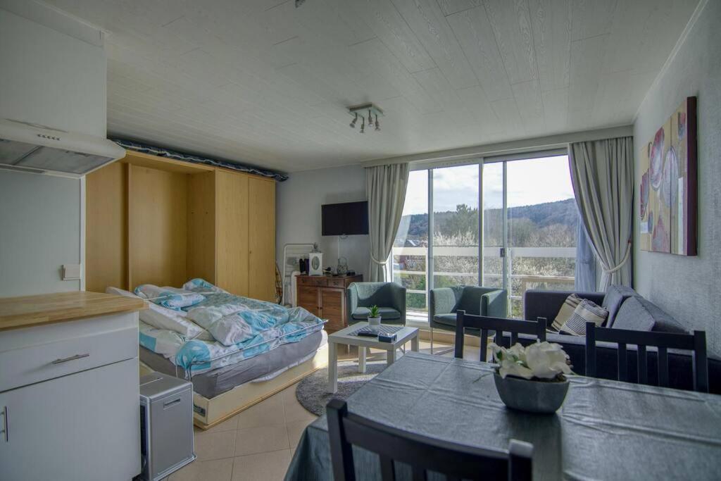 Studio Au Domaine Le Vieux Moulin Lägenhet Han-sur-Lesse Exteriör bild
